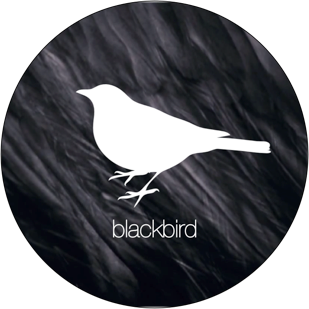 blackbird